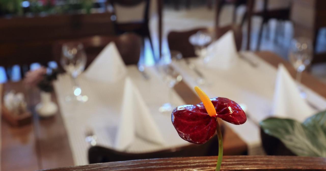 Hotel Tripic, Restaurant And Pizzeria Бохинь Экстерьер фото